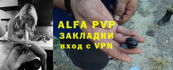 бошки Белокуриха