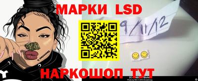 шишки Аргун