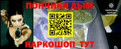 шишки Аргун