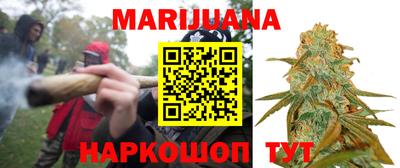 шишки Аргун