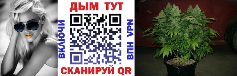 МАРИХУАНА SATIVA & INDICA Белорецк